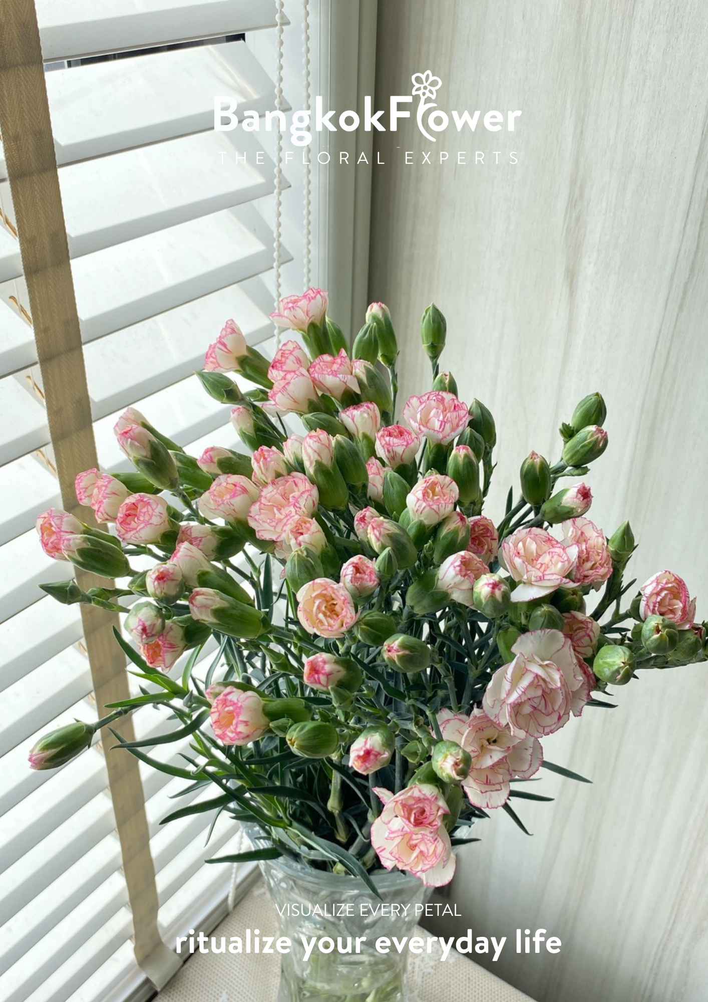 สเปรย์ดอกคาร์เนชั่น – สีขาวชมพู