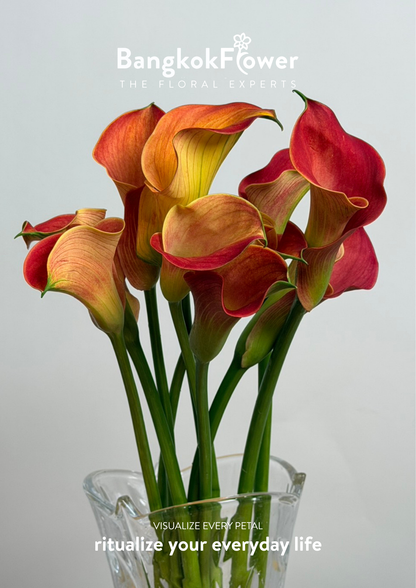 Calla Lily Orange