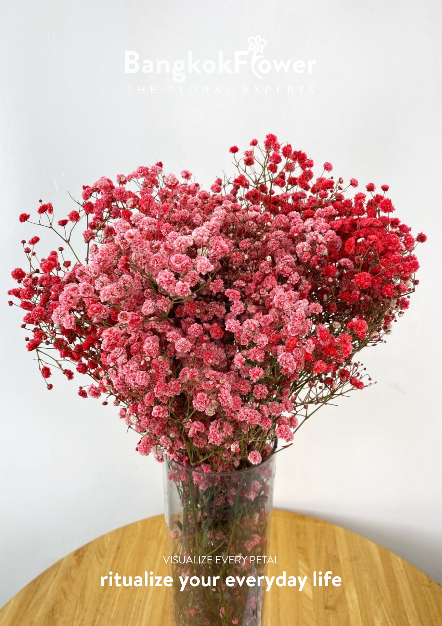 Gypsophila Red