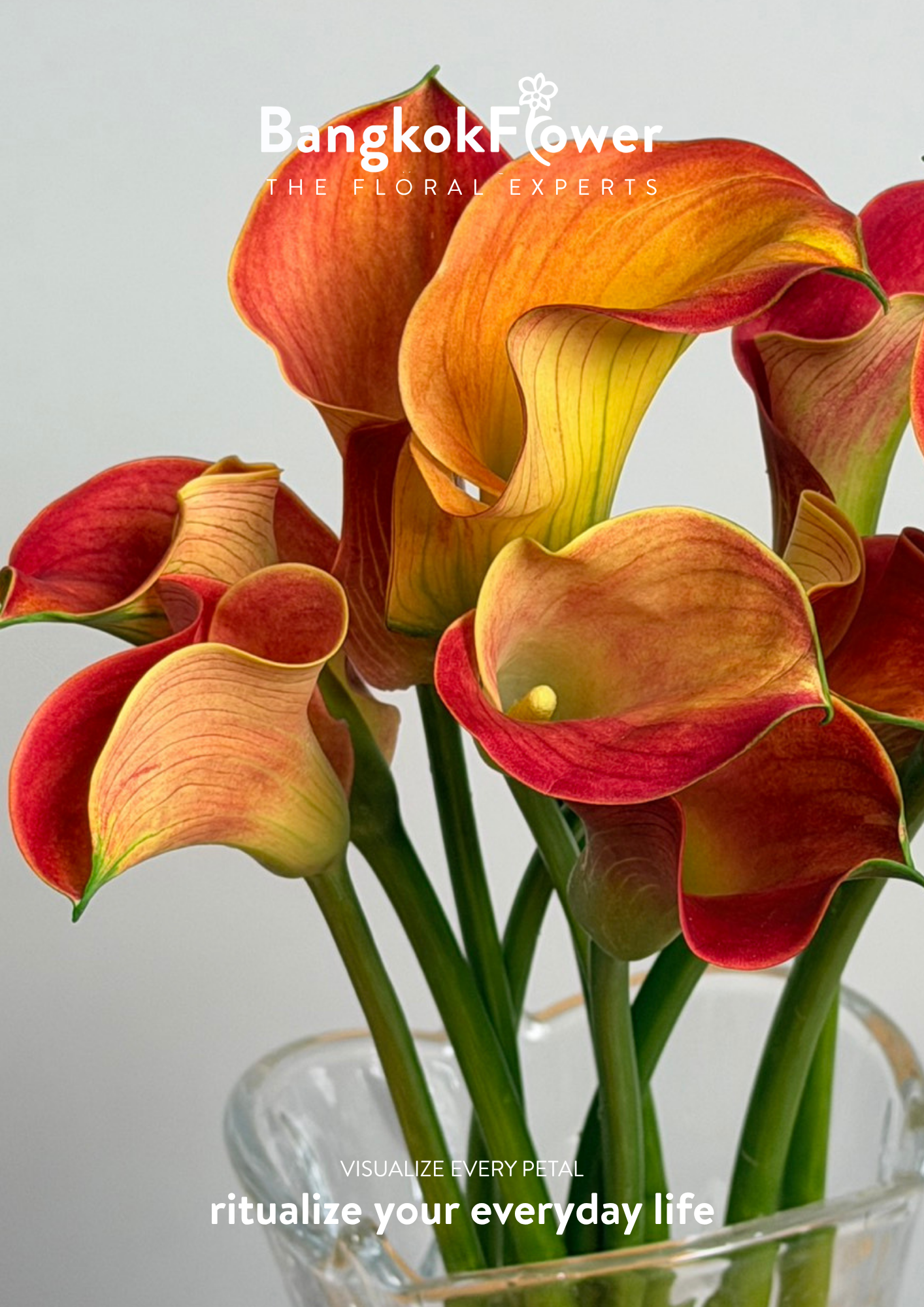 Calla Lily Orange