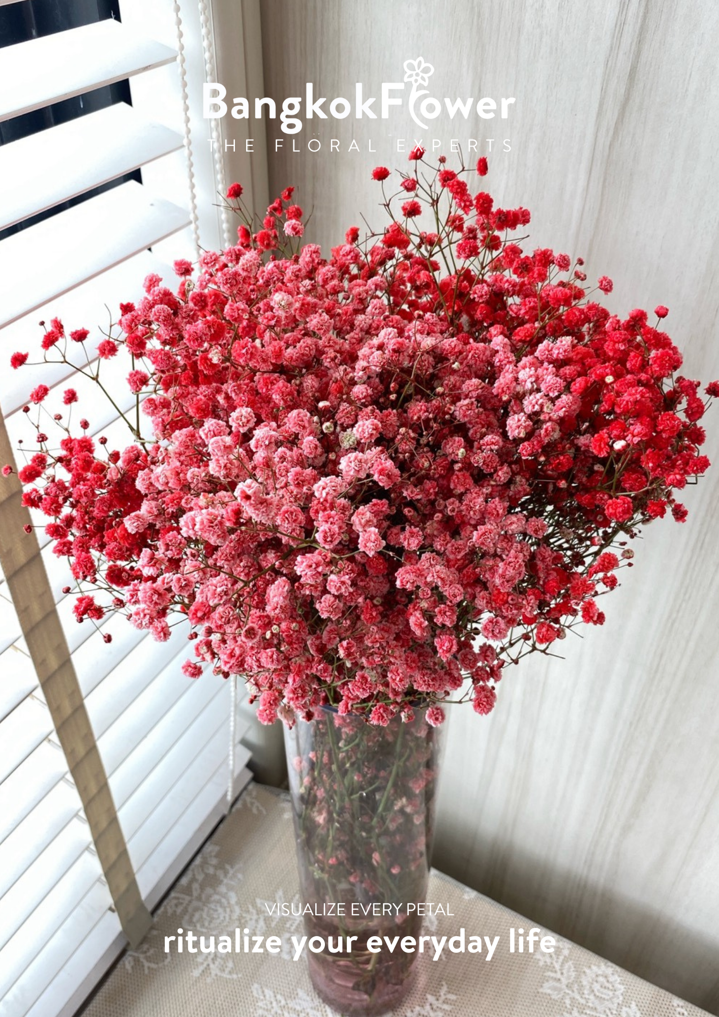 Gypsophila Red