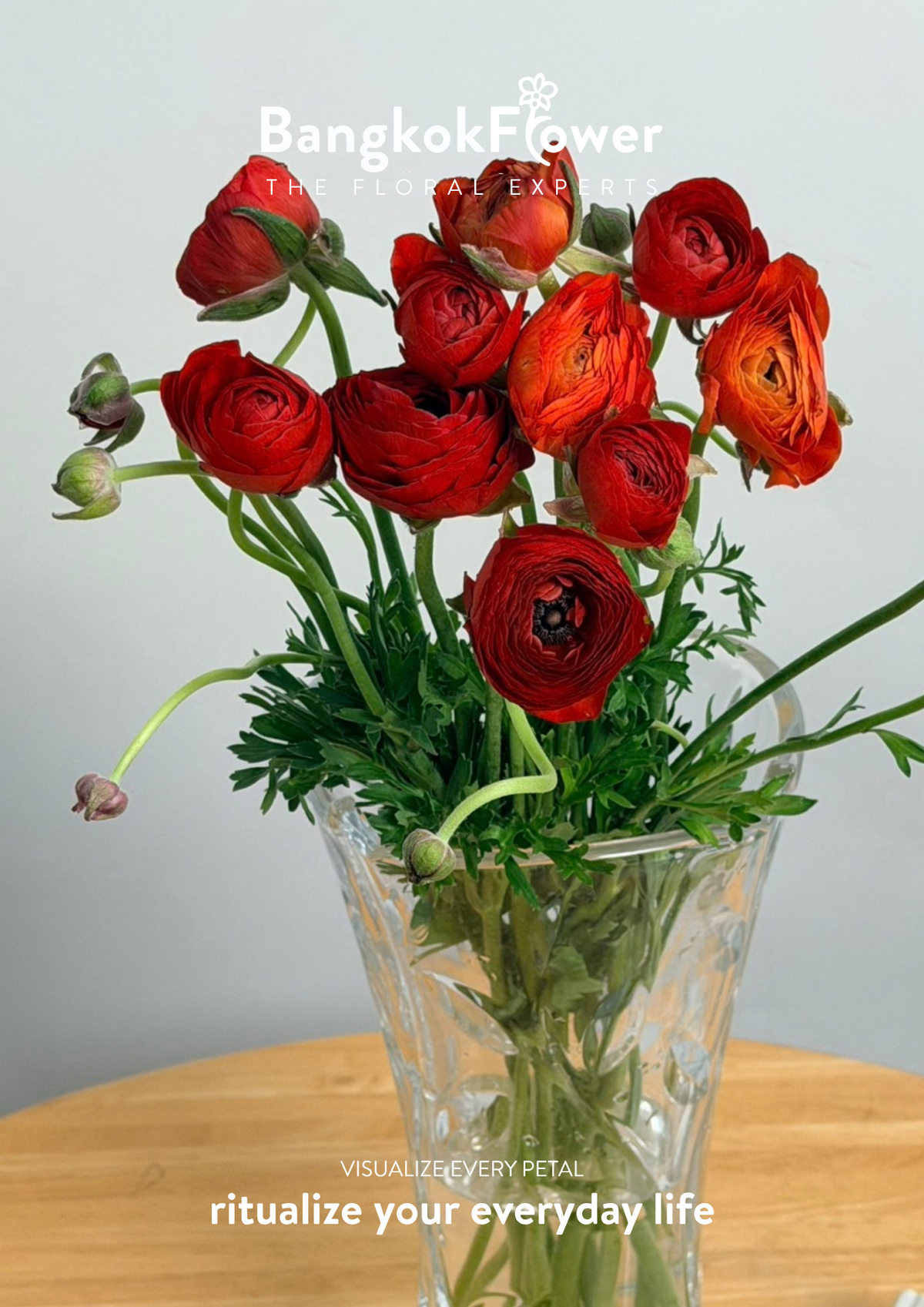 Ranunculus red
