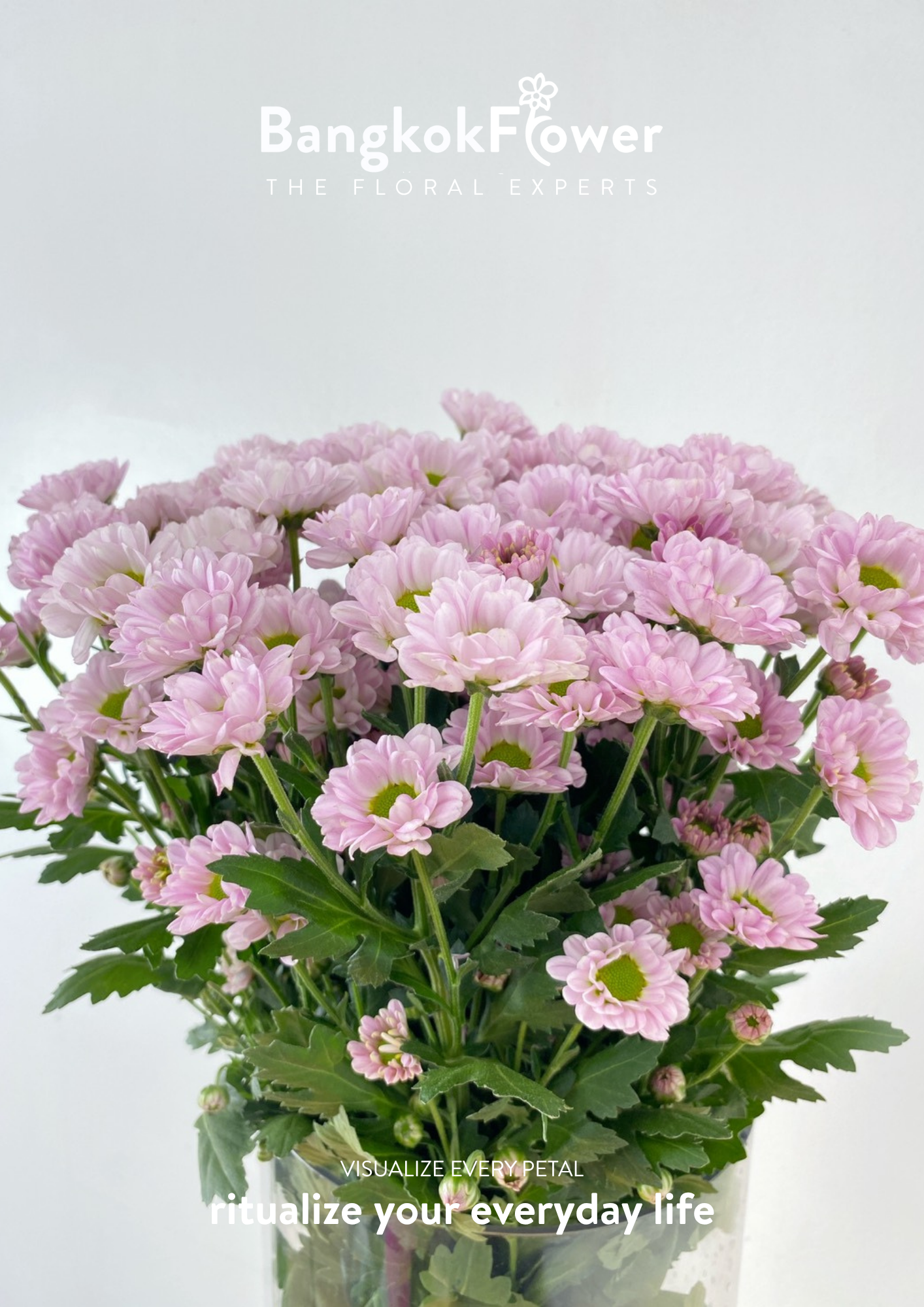 Rossi Pink