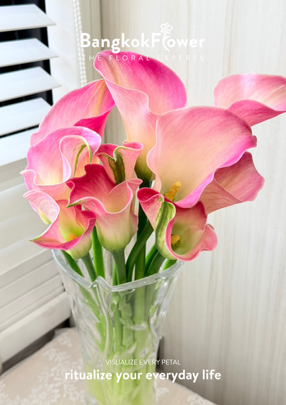 Calla Lily Light Pink