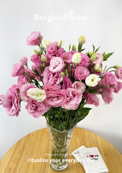 ยูสโตมา พิงค์