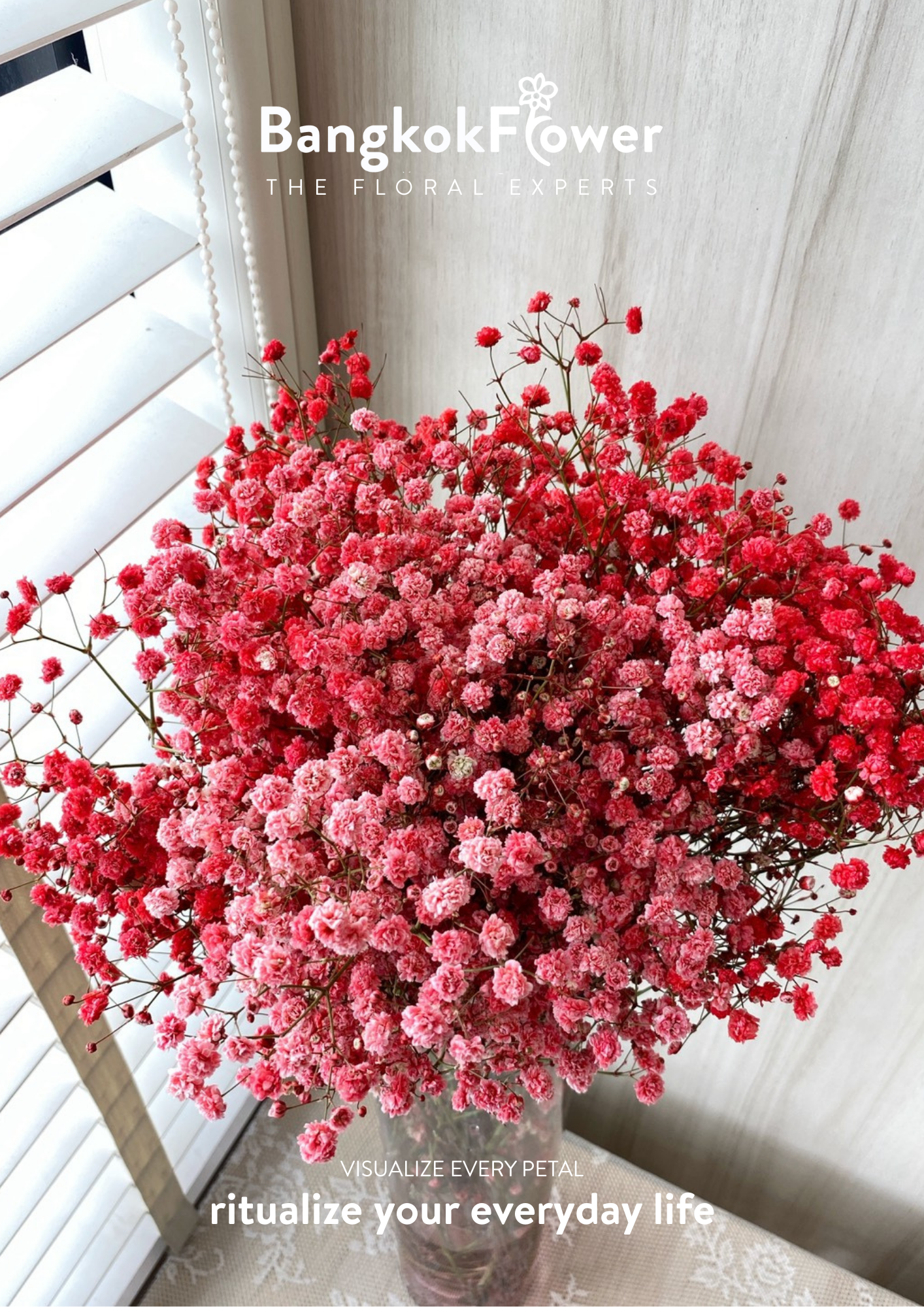 Gypsophila Red