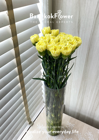 เซนต์คาร์เนชั่นสีเหลือง