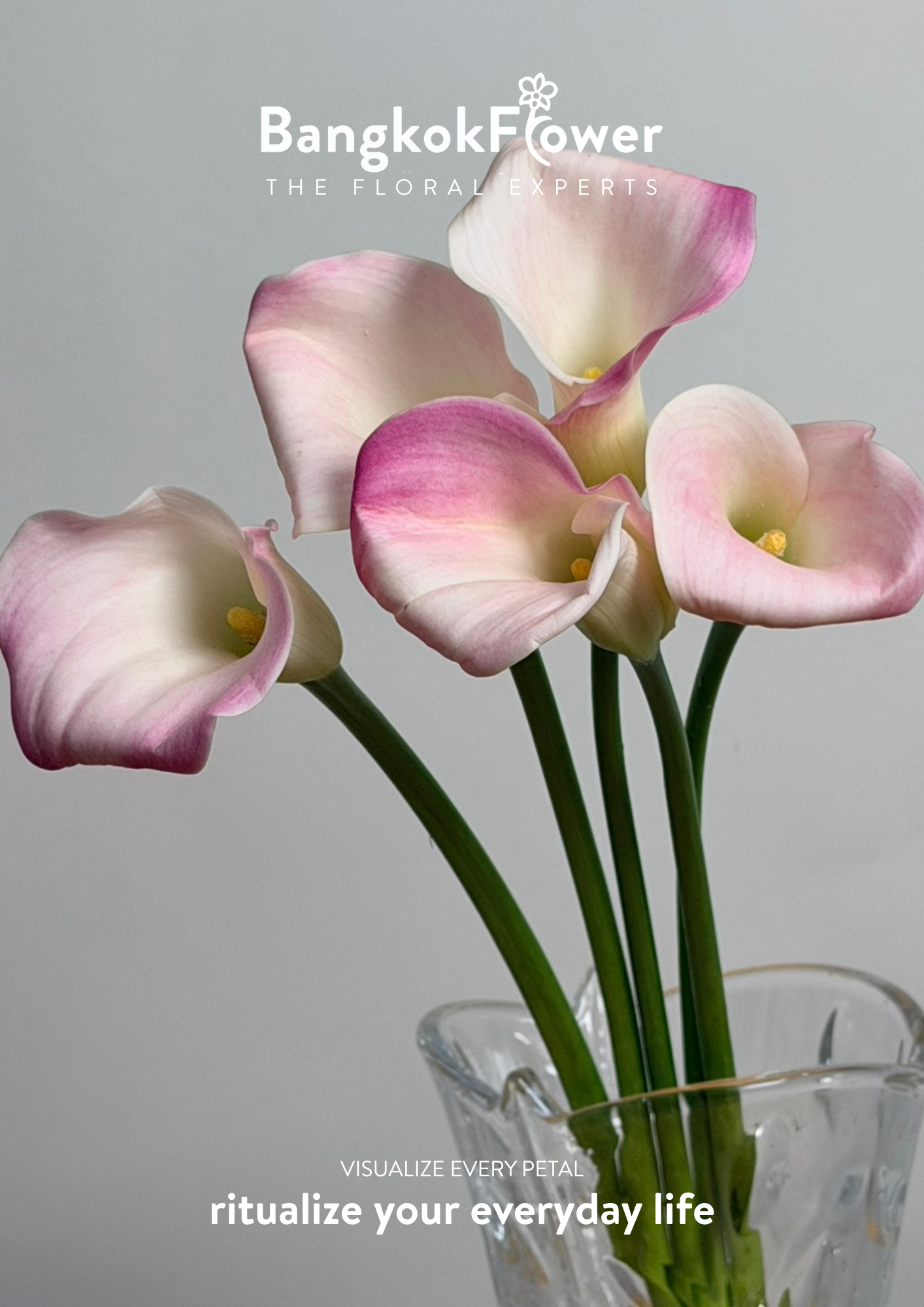 Calla Lily Pink White