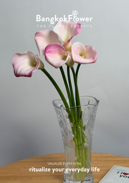 Calla Lily Pink White