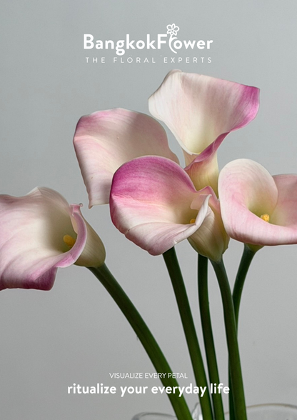 Calla Lily Pink White