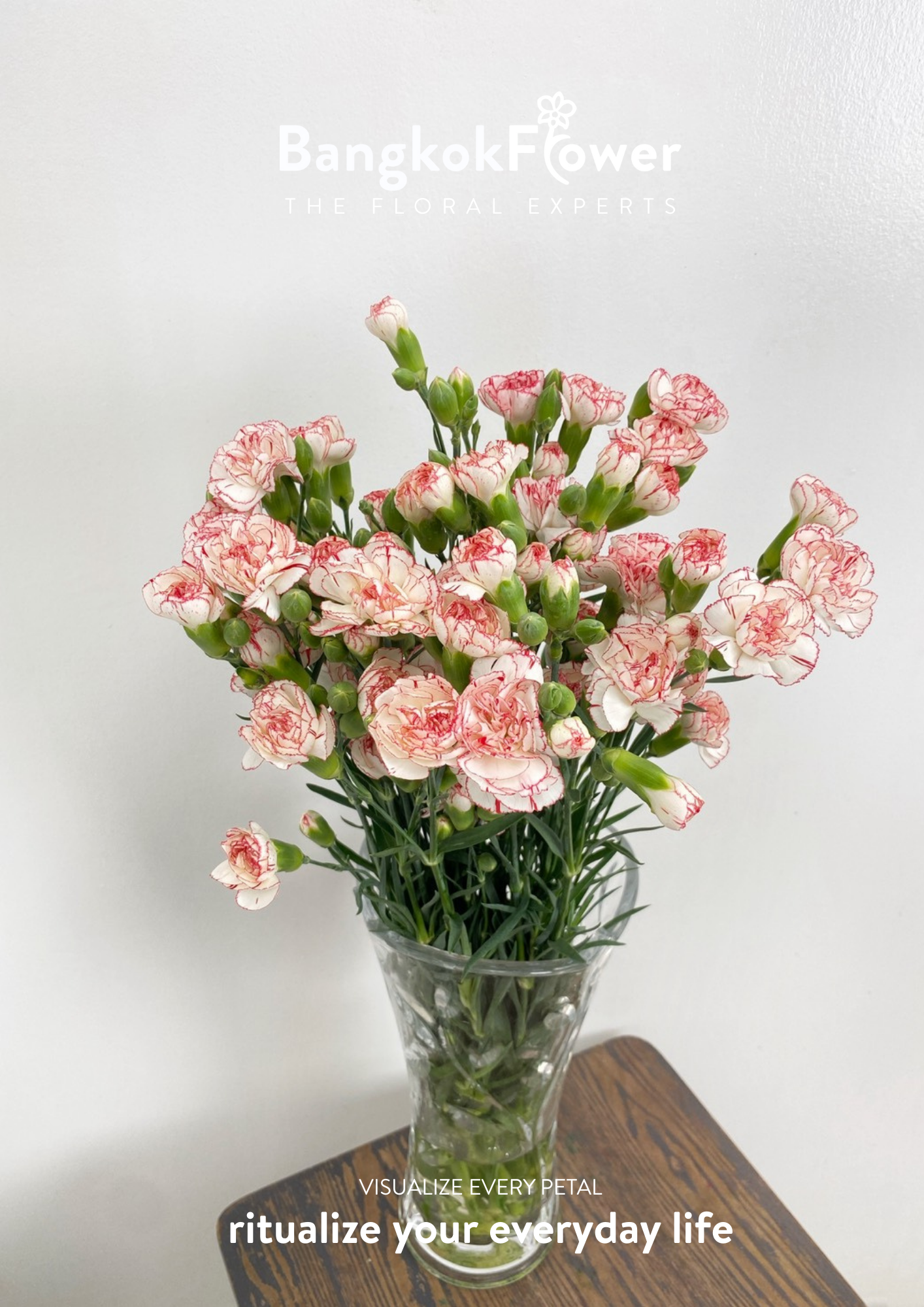 สเปรย์ดอกคาร์เนชั่น – สีขาวแดง