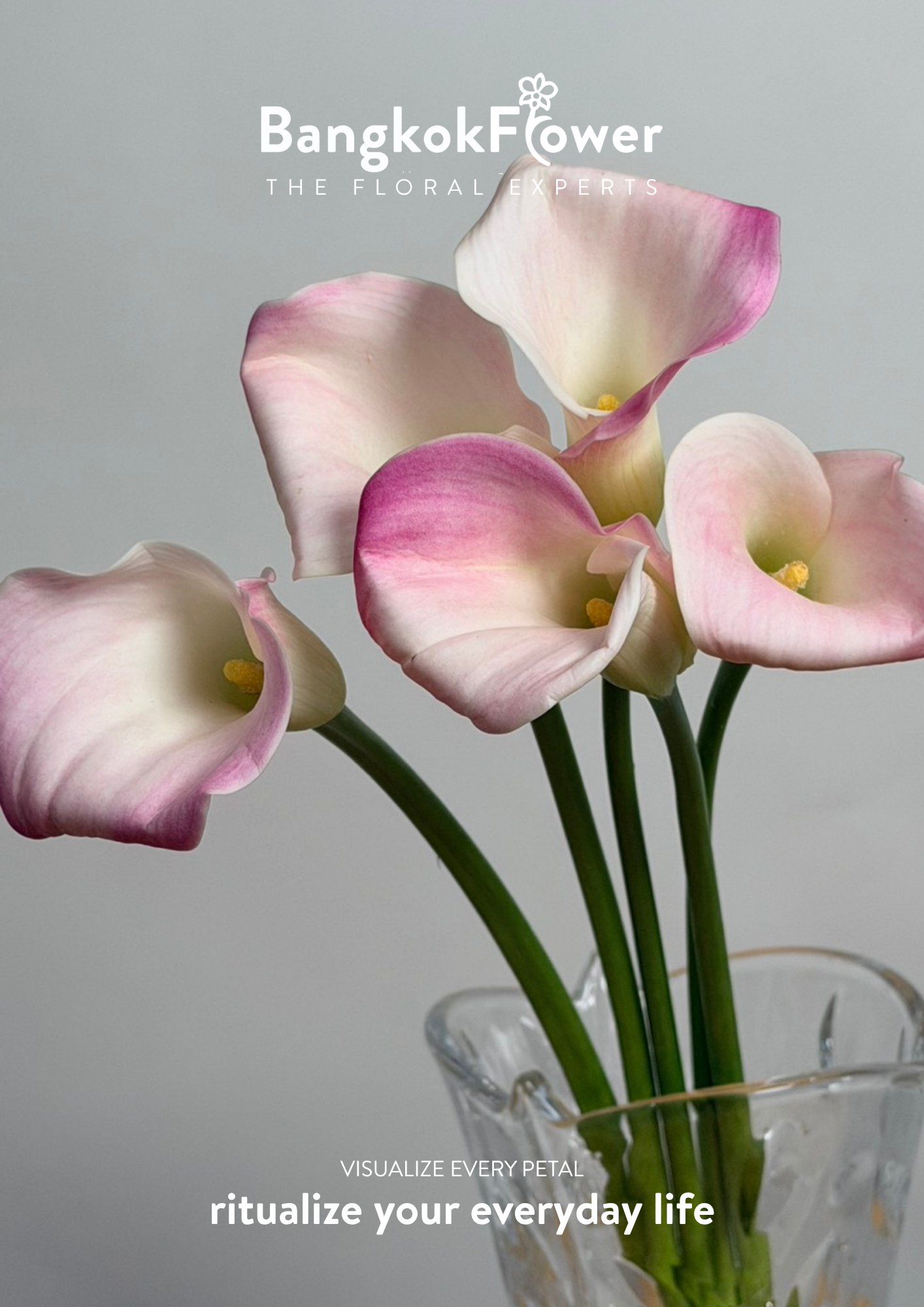 Calla Lily Pink White