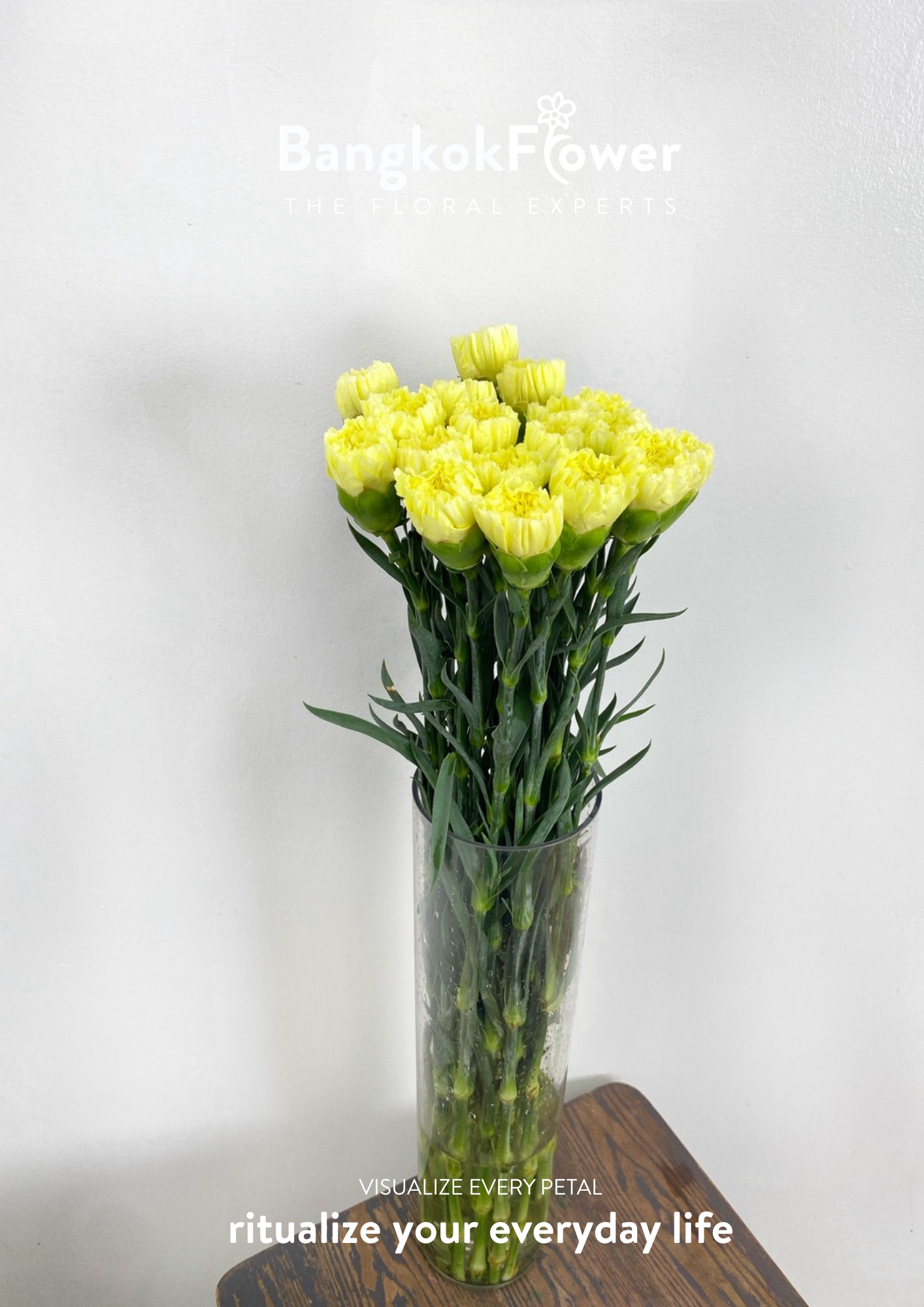 เซนต์คาร์เนชั่นสีเหลือง