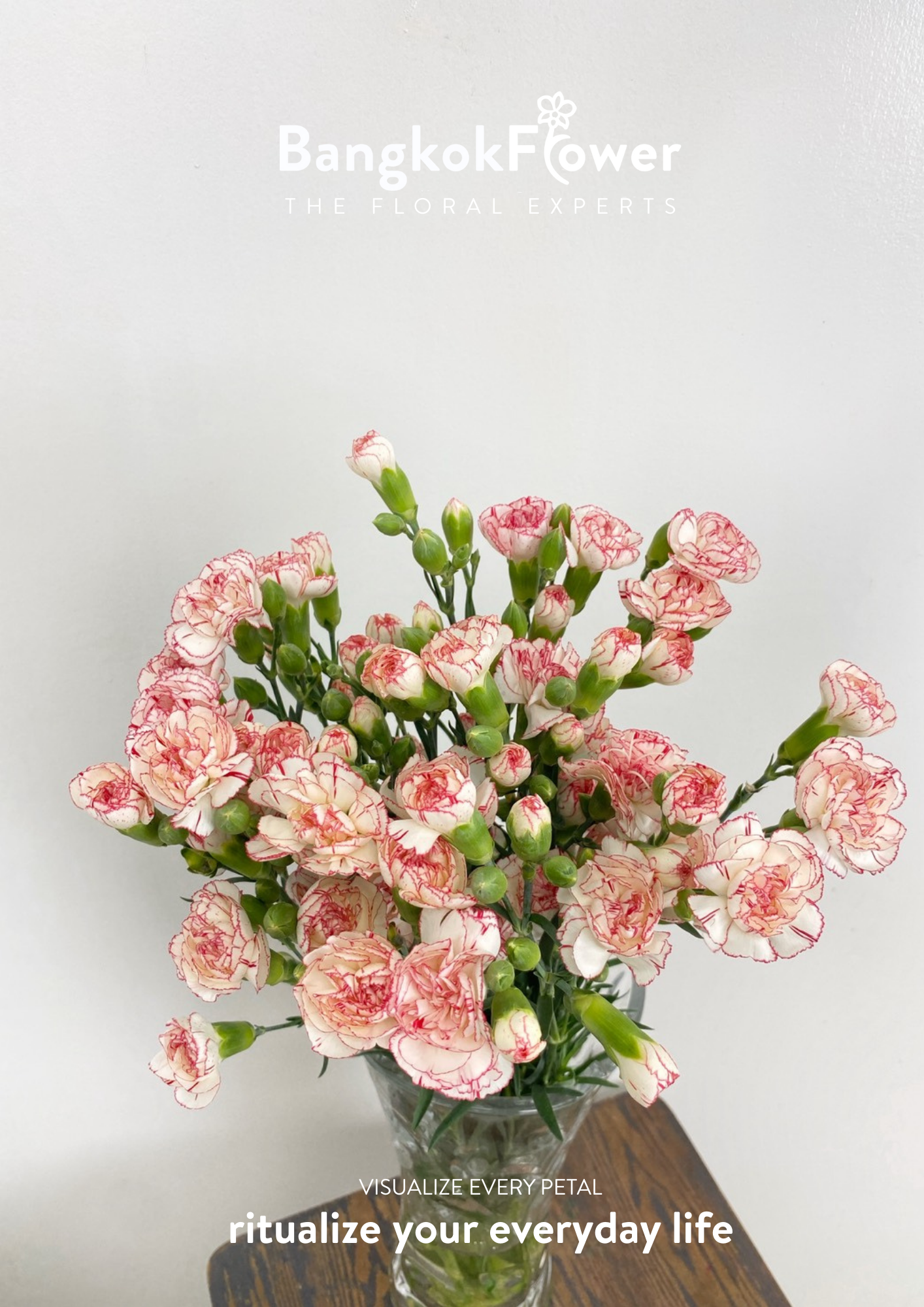 สเปรย์ดอกคาร์เนชั่น – สีขาวแดง
