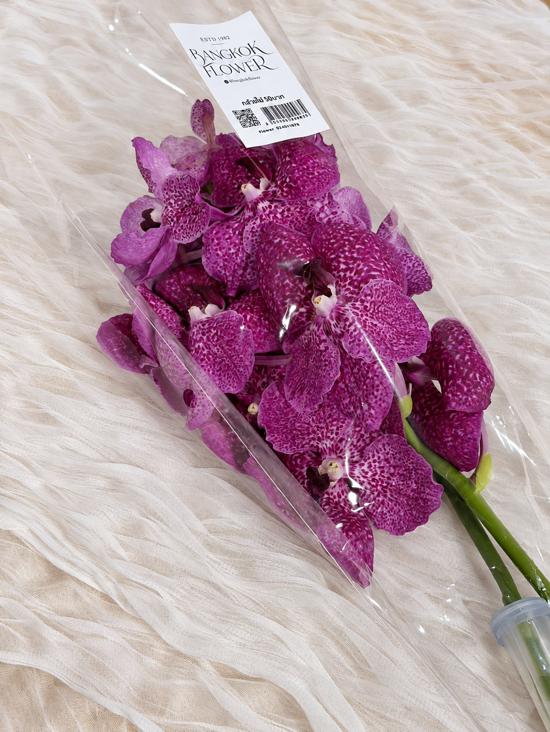 Vanda (1 stem) (Grower's Choice)