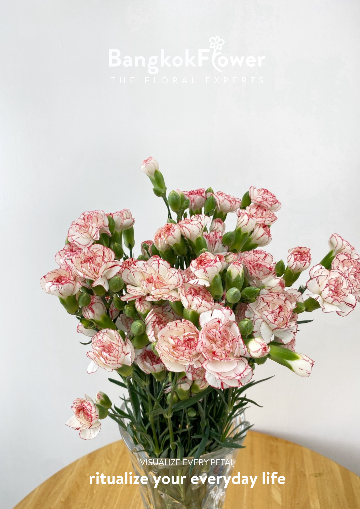 สเปรย์ดอกคาร์เนชั่น – สีขาวแดง