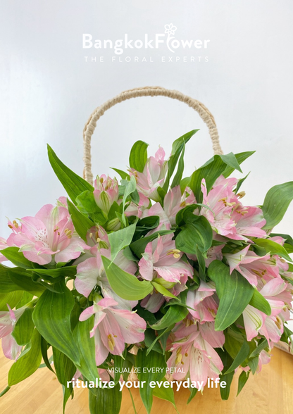 Alstroemeria Pink Surprise