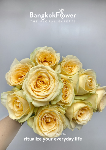 พีช อวาแลนช์ โรส