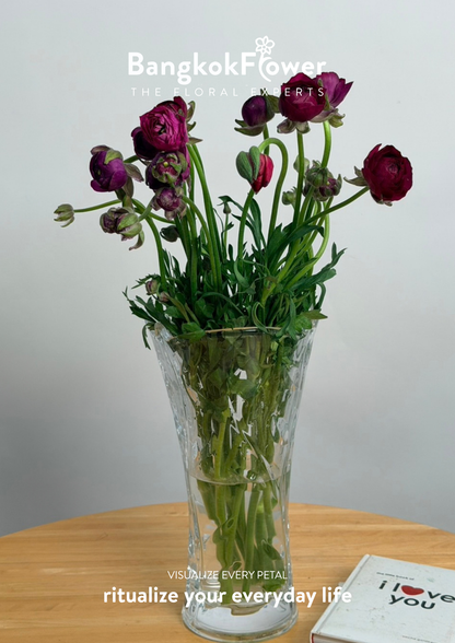 Ranunculus Purple