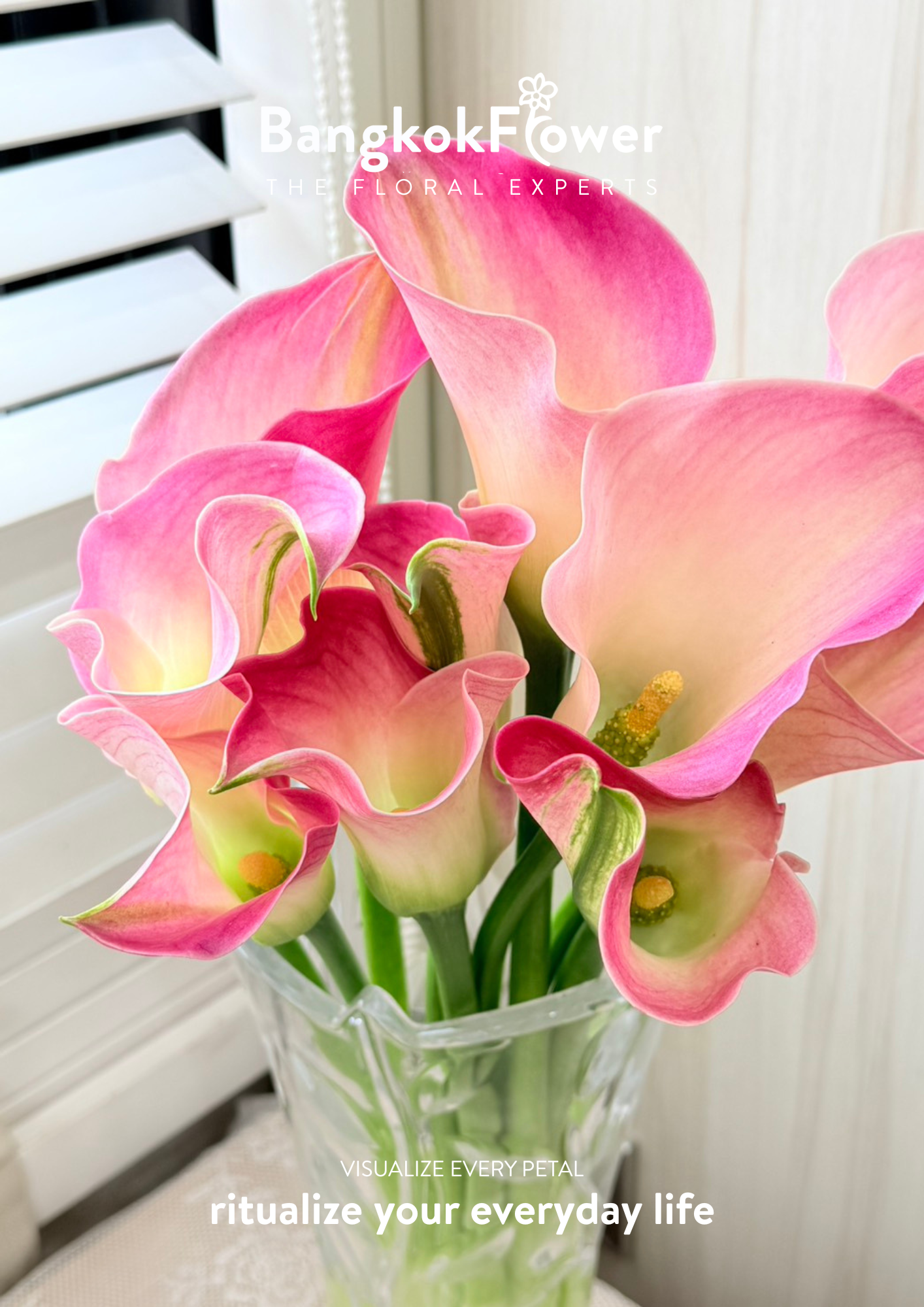 Calla Lily Light Pink