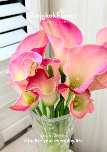 Calla Lily Light Pink