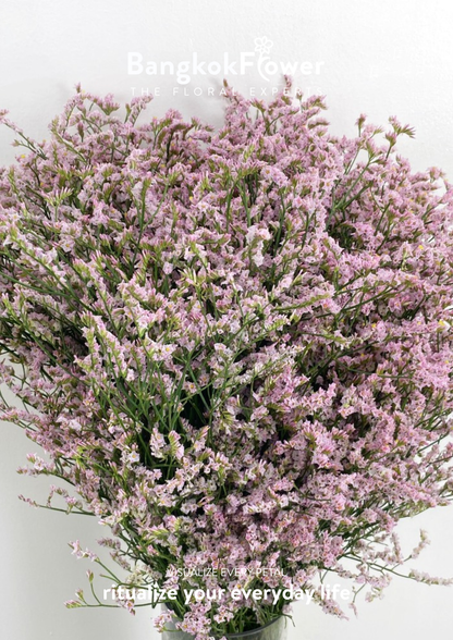 Sui pink