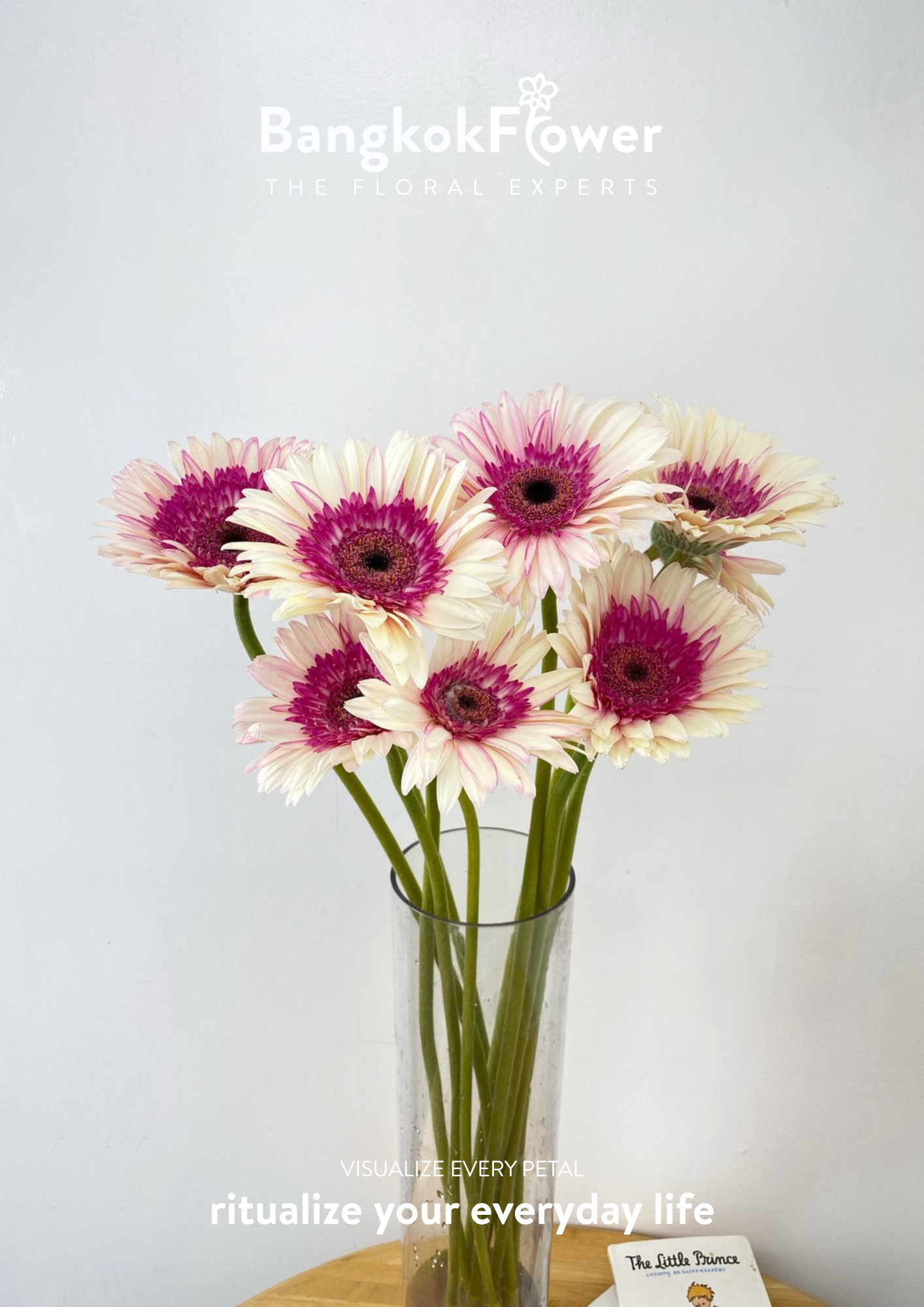 Pinkwhite Gerbera