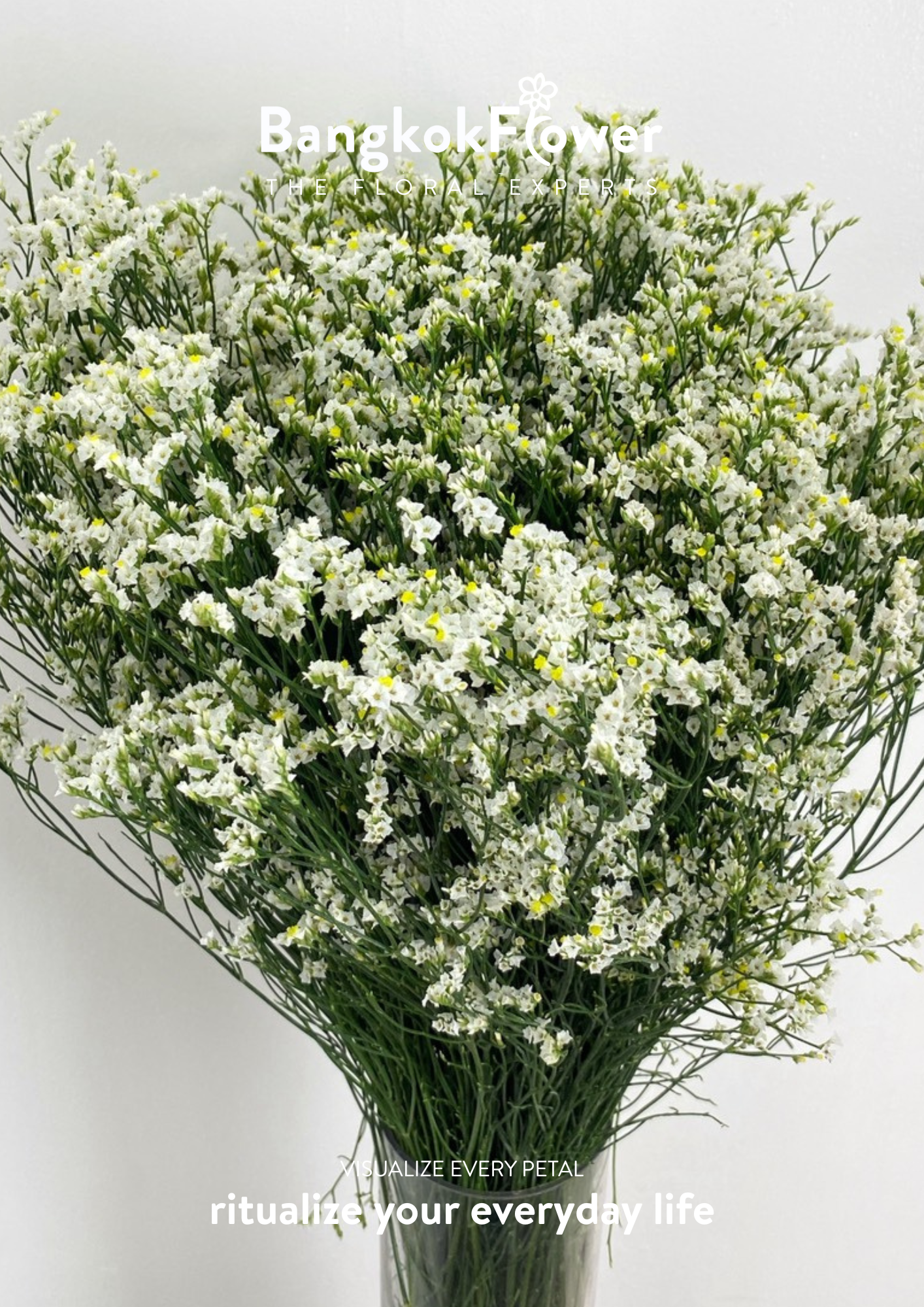 Sui White