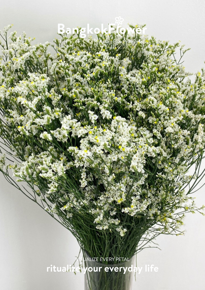 Sui White