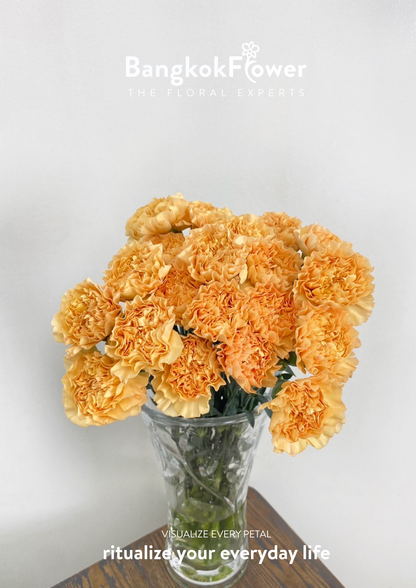 Carnation B Orange