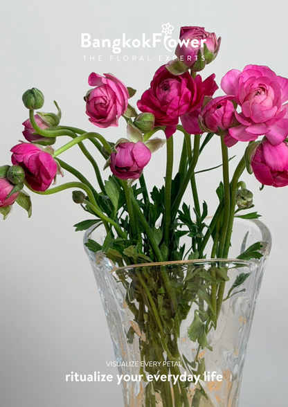 Ranunculus Hot Pink