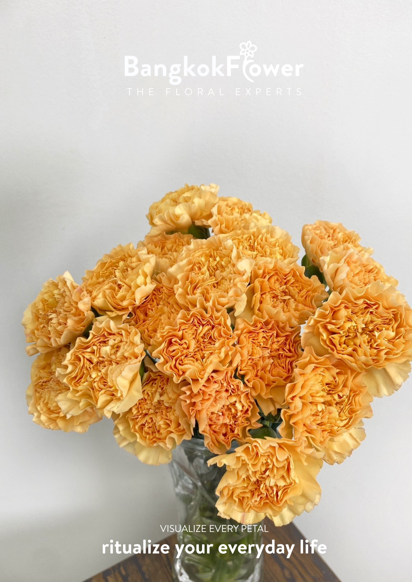Carnation B Orange