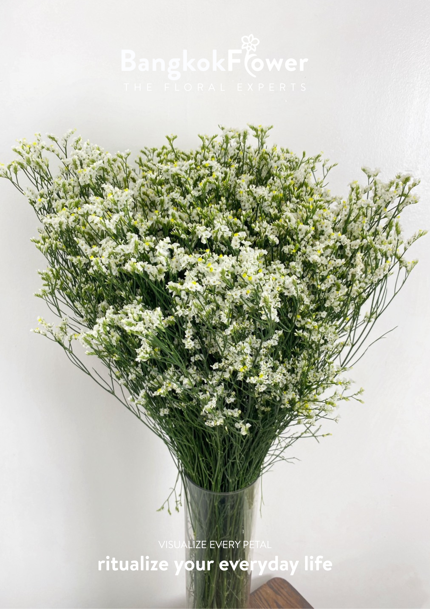 Sui White