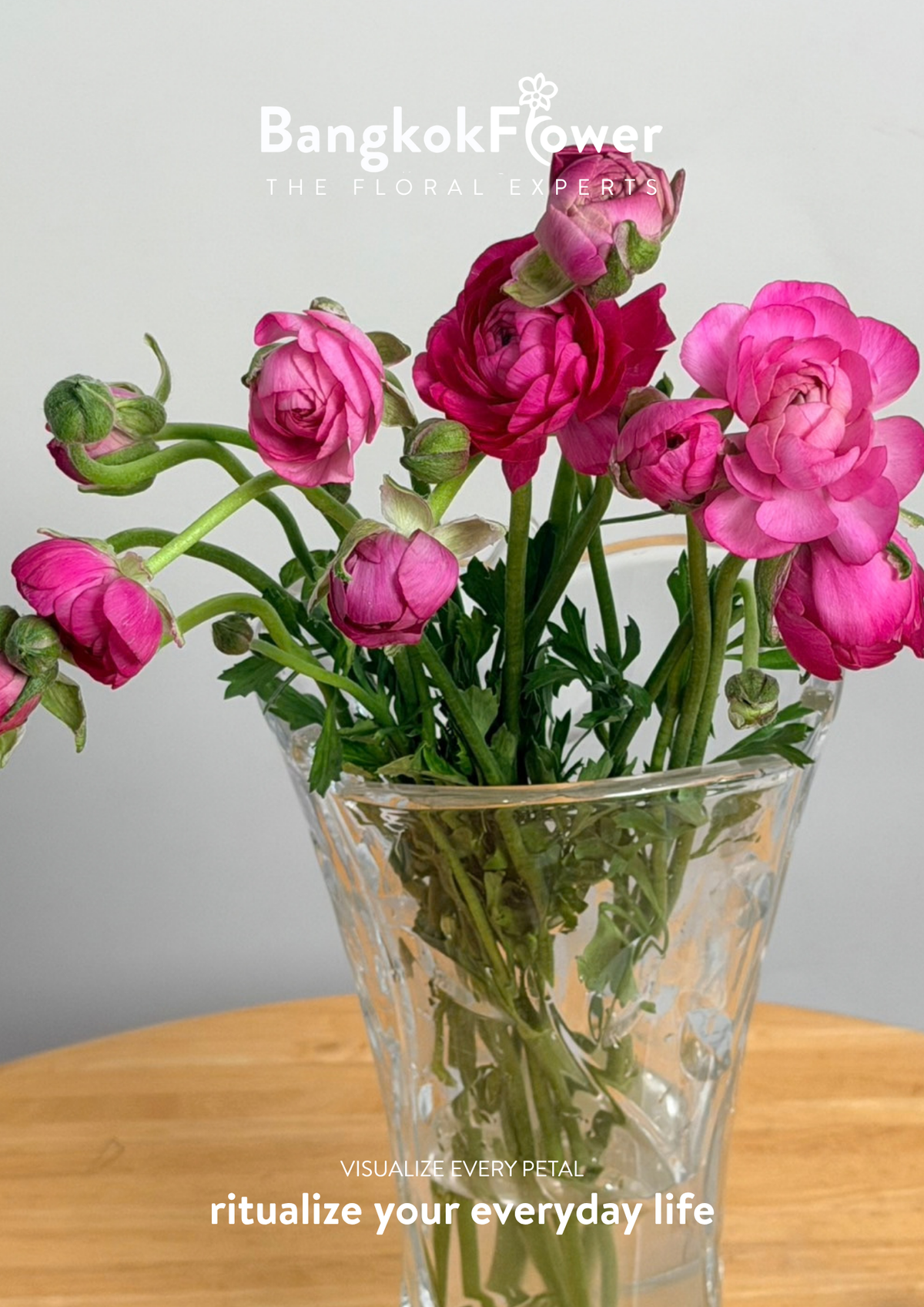 Ranunculus Hot Pink