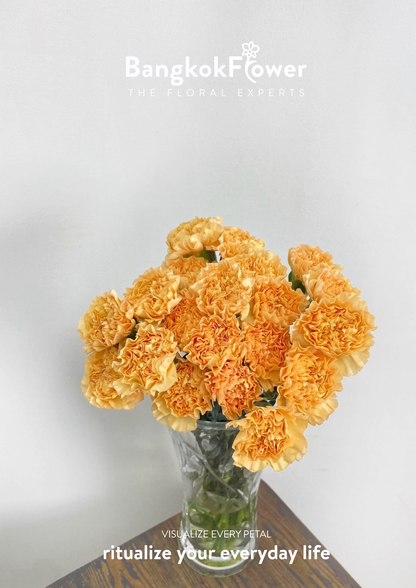 Carnation B Orange