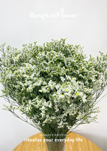 Sui White