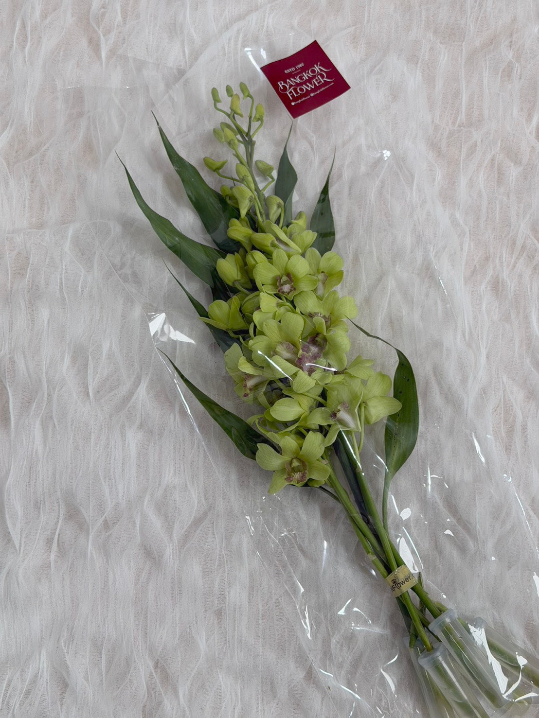 Green Dendrobium Orchid Bouquet