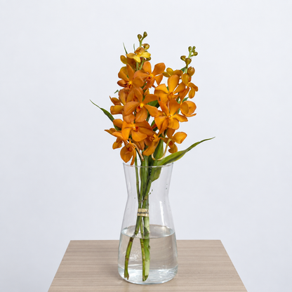 Orange Mokara Orchid Bouquet