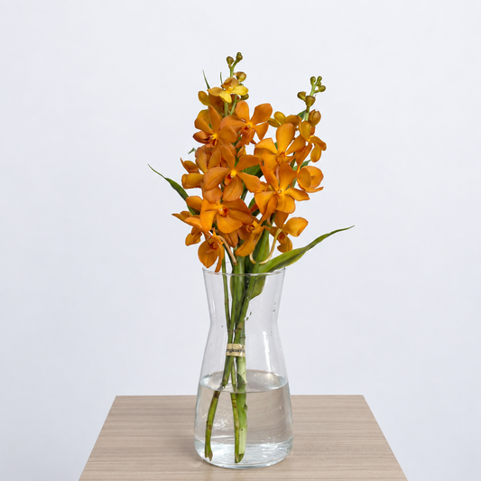 Orange Mokara Orchid Bouquet