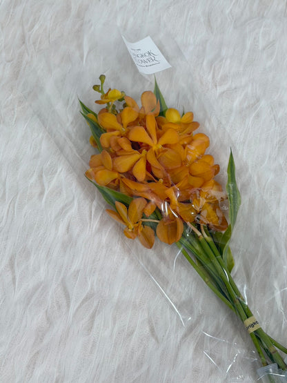 Orange Mokara Orchid Bouquet