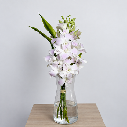 Light Pink Dendrobium Orchid Bouquet