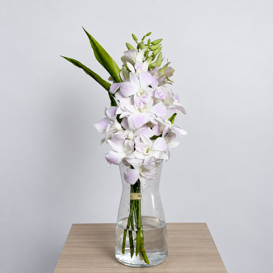 Light Pink Dendrobium Orchid Bouquet