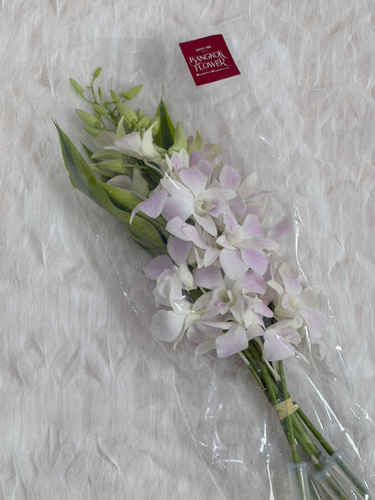Light Pink Dendrobium Orchid Bouquet
