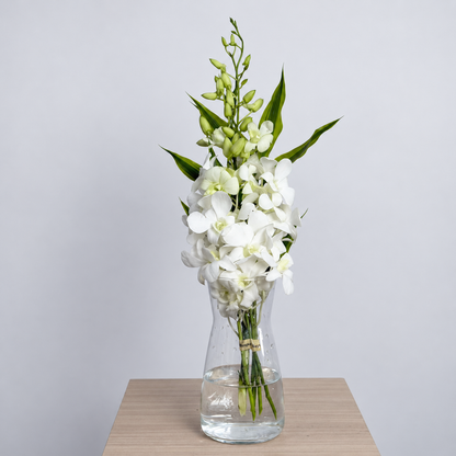 White Dendrobium Orchid Bouquet