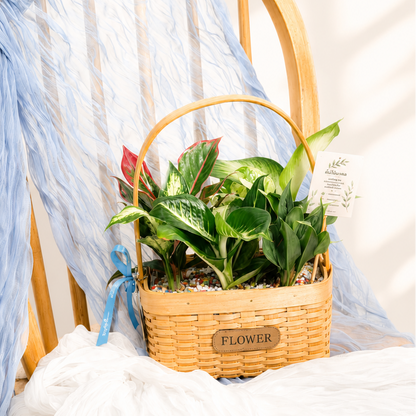 Blessings Garden for Mom