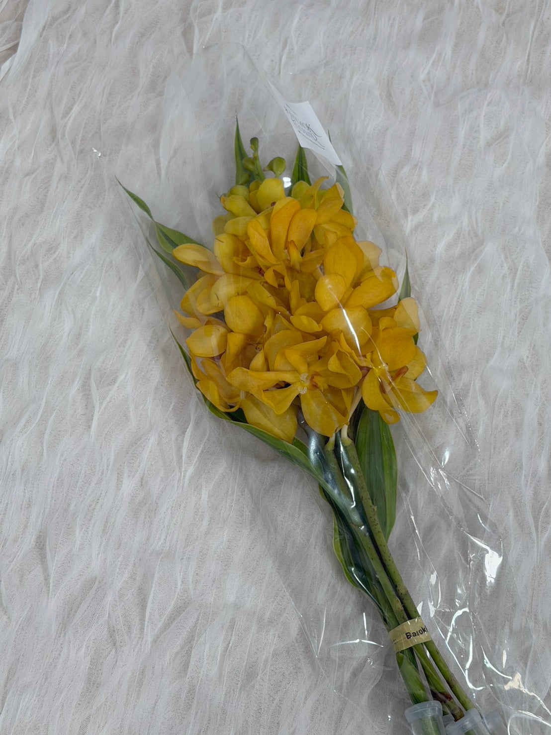 Yellow Mokara Orchid Bouquet