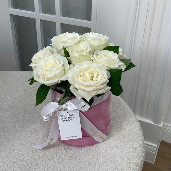 White Elegance Box Collection