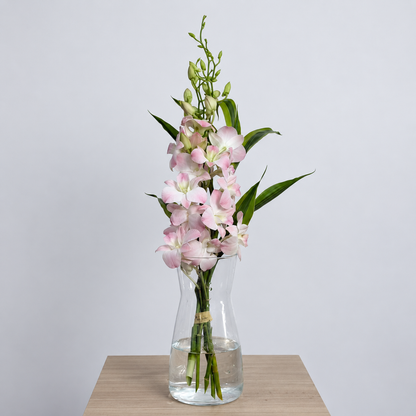 Peach Dendrobium Orchid Bouquet