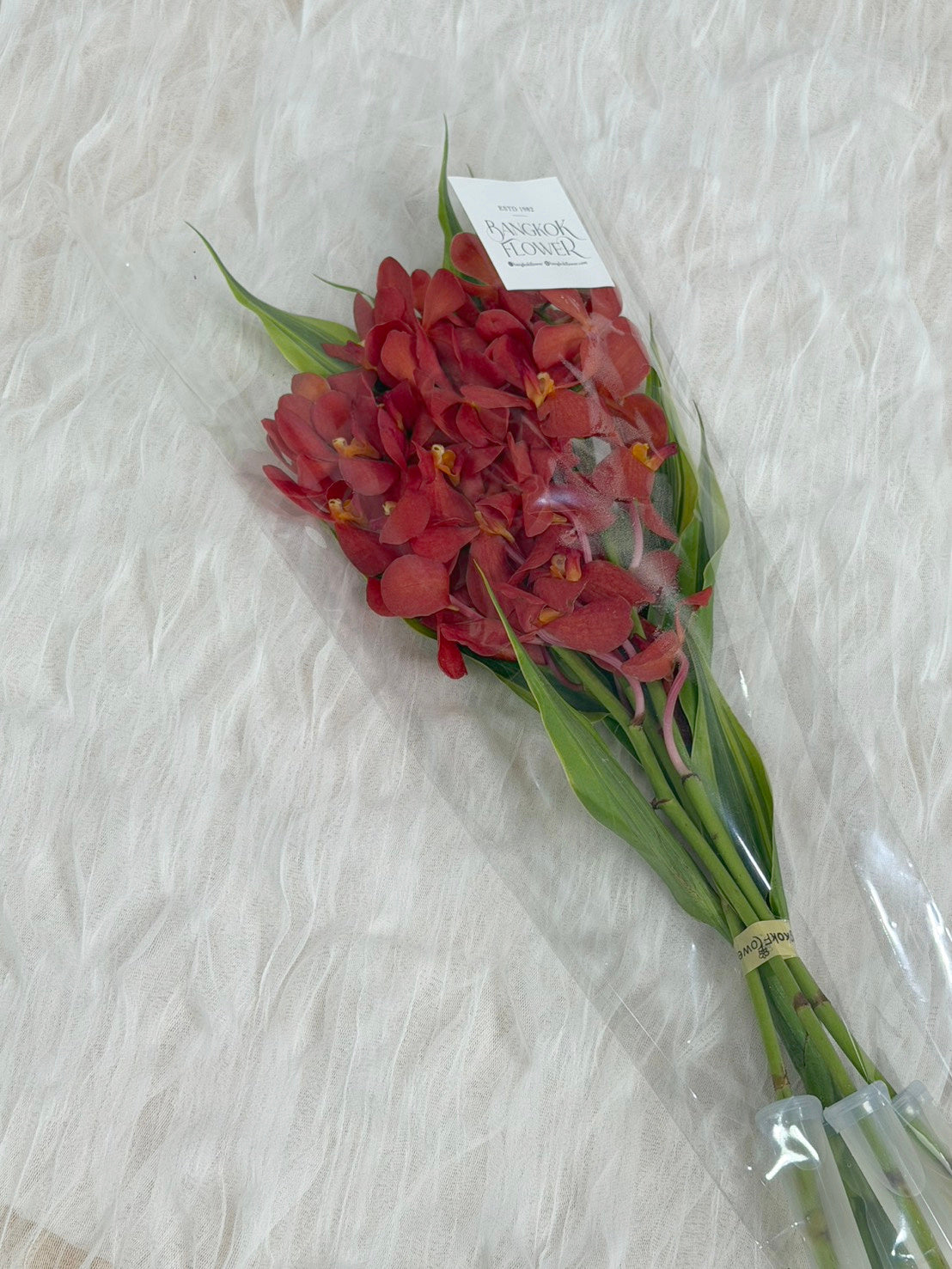 Red Mokara Orchid Bouquet