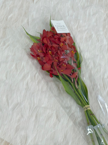 Red Mokara Orchid Bouquet
